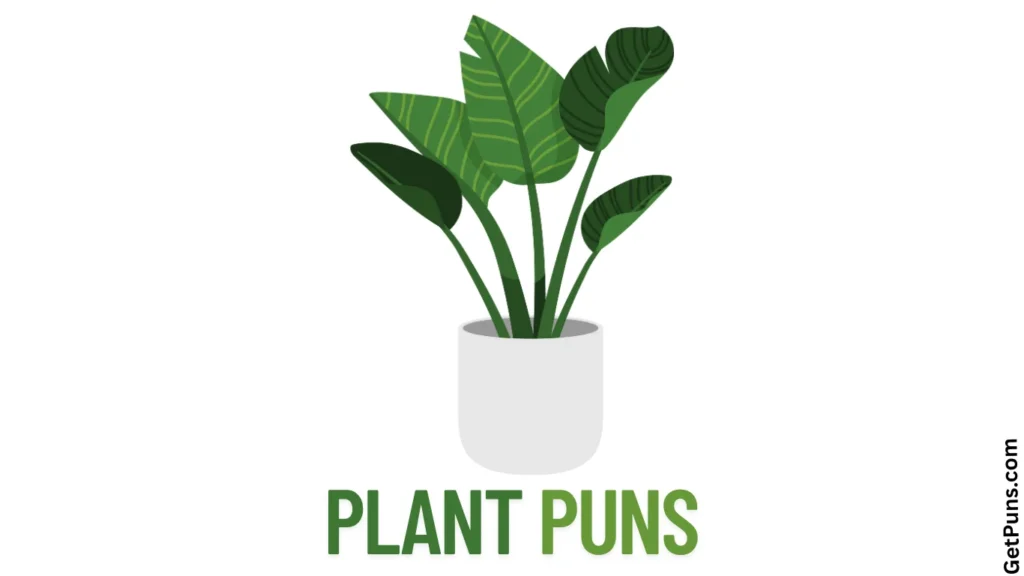 Plant Puns